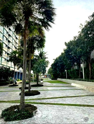 ขายคอนโด : คอนโด 2-ห้องนอน ที่ ลุมพินี พาร์ค บีช จอมเทียน ใกล้ หาดจอมเทียน (ID 2486324)