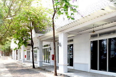 เช่าสำนักงาน ม.เกษตรศาสตร์ ศรีราชา : สำนักงานให้เช่า ที่ ไอเพลส บิซิเนส พาร์ค แหลมฉบัง ใกล้กับท่าเรือแหลมฉบัง ขนาด 210 ตร.ม. ราคา 70,380 บาทต่อเดือน