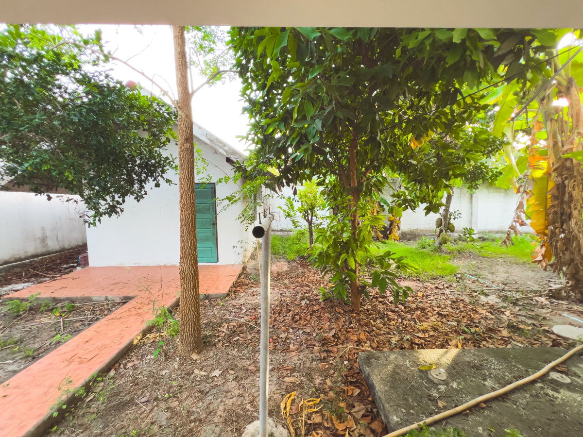 รูป ขายบ้านเดี่ยว พร้อมสระว่ายน้ำ พื้นที่กว้างมากกว่า 1 ไร่ - รูปที่ 28/32