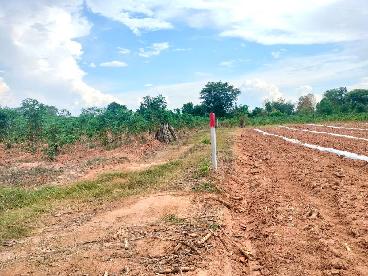รูป ขายที่ดินปักธงชัย ต.ธงชัยเหนือ โคราช 3-3-41 ไร่ - รูปที่ 4/5