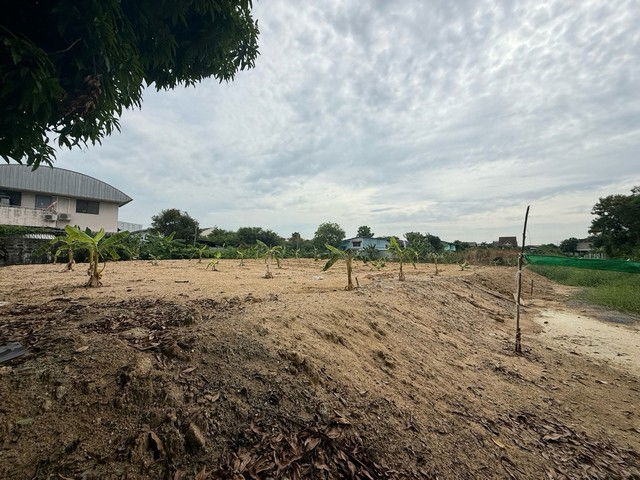 รูป TD1160 ให้เช่าที่ดินแปลงงาม ย่านตลิ่งชัน กรุงเทพมหานคร - รูปที่ 7/8