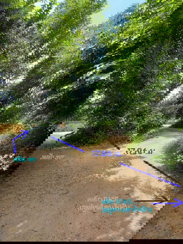 รูป ขายที่ดิน โนนฝรั่ง หัวทะเล นครราชสีมา - รูปที่ 6/7