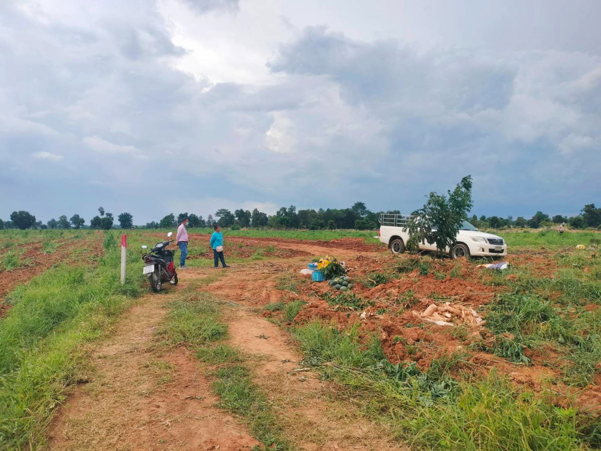 รูป ขายที่ดินปักธงชัย ต.ธงชัยเหนือ โคราช 3-3-41 ไร่ - รูปที่ 2/5