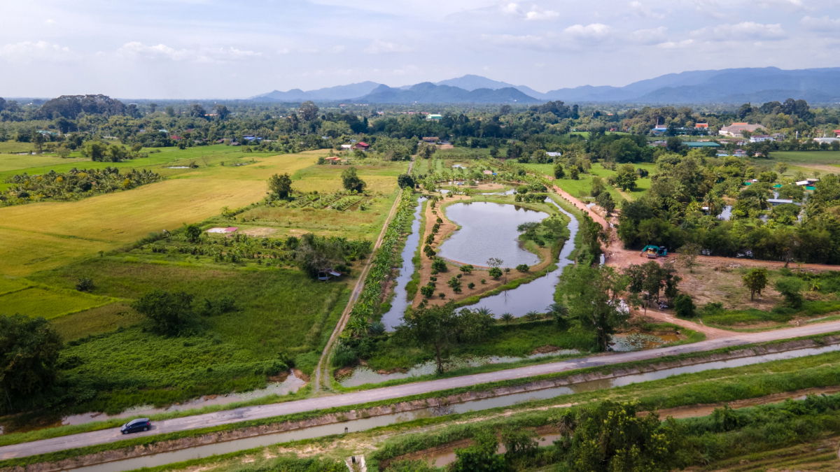 รูป ขายที่ดินสวนผลไม้ ใกล้ทางขึ้นเขาใหญ่ ติดถนนใหญ่ น้ำไม่ท่วม - รูปที่ 5/12