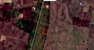 Land for sale Big C Ratchaphruek : ✨Beautiful large land plot in a resort-style project, surrounded by nature. garden house, small resort, or long-term investment. ✨List:84466