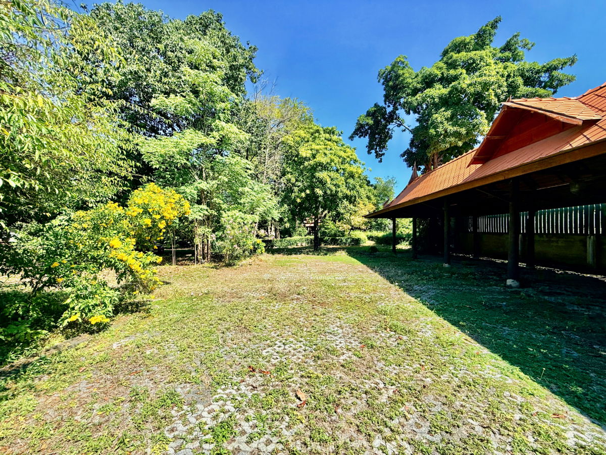 รูป ให้เช่า บ้านทรงไทยริมแม่น้ำเจ้าพระยา อ.เมือง อยุธยา - รูปที่ 61/76