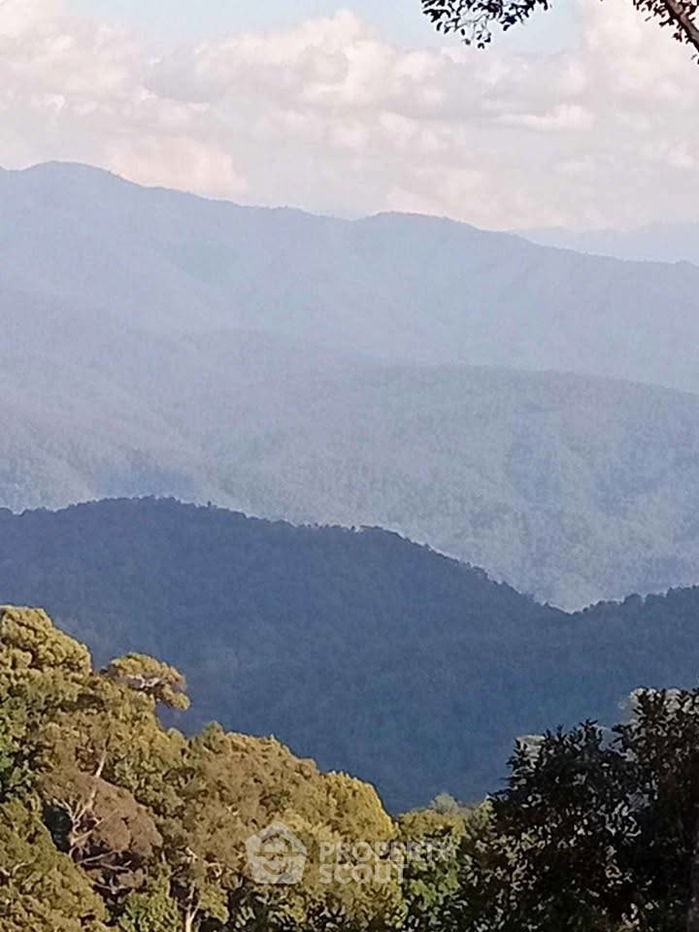 รูป ที่ดินสำหรับปล่อยขาย 24,000 ตารางเมตร แถว ใน เชียงดาว (ID 2494919) - รูปที่ 15/16