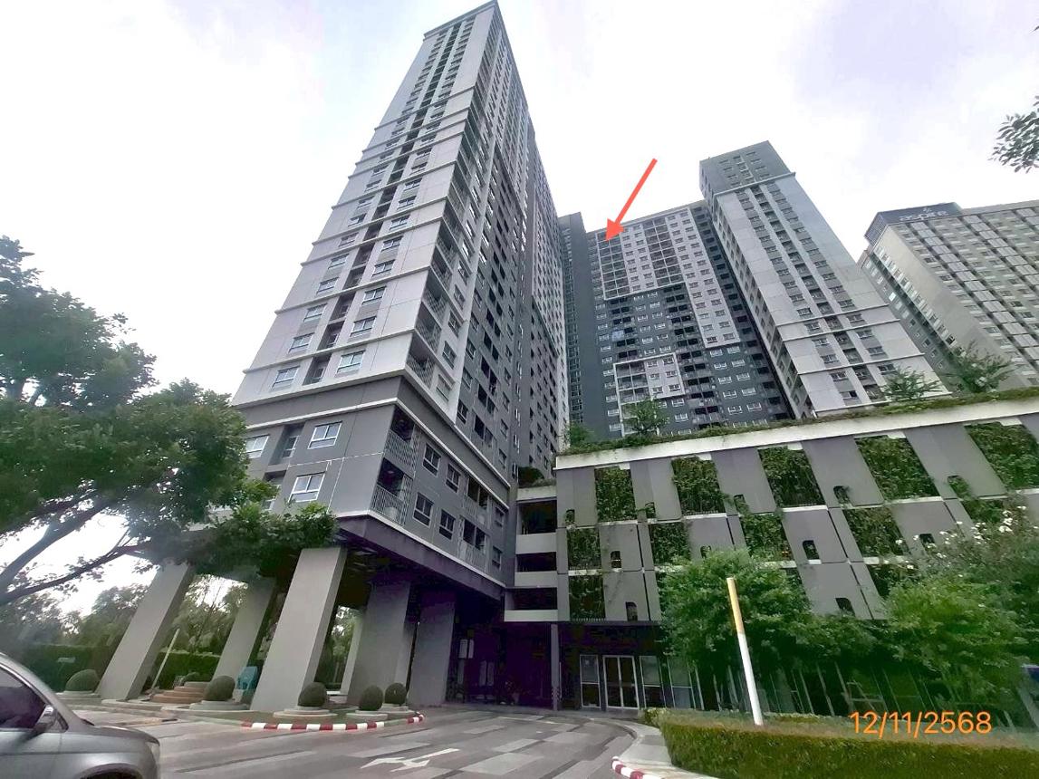 picture CONDO 1 ห้องนอน, 28.84 Square meter for sale at CONDO for sale Pak Nam Muang Samut Prakarn Samut Prakarn - 20/26