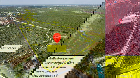 Coconut plantation land for sale  1.1x million per rai, near Rama 2 Road.  Ban Phaeo, Samut Sakhon