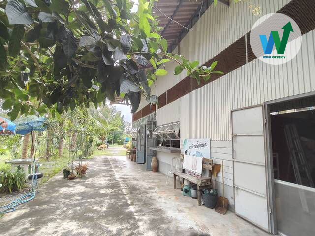 picture For Sale Warehouse and land Located on a main road in Khuan Khanun Phatthalung - 7/9