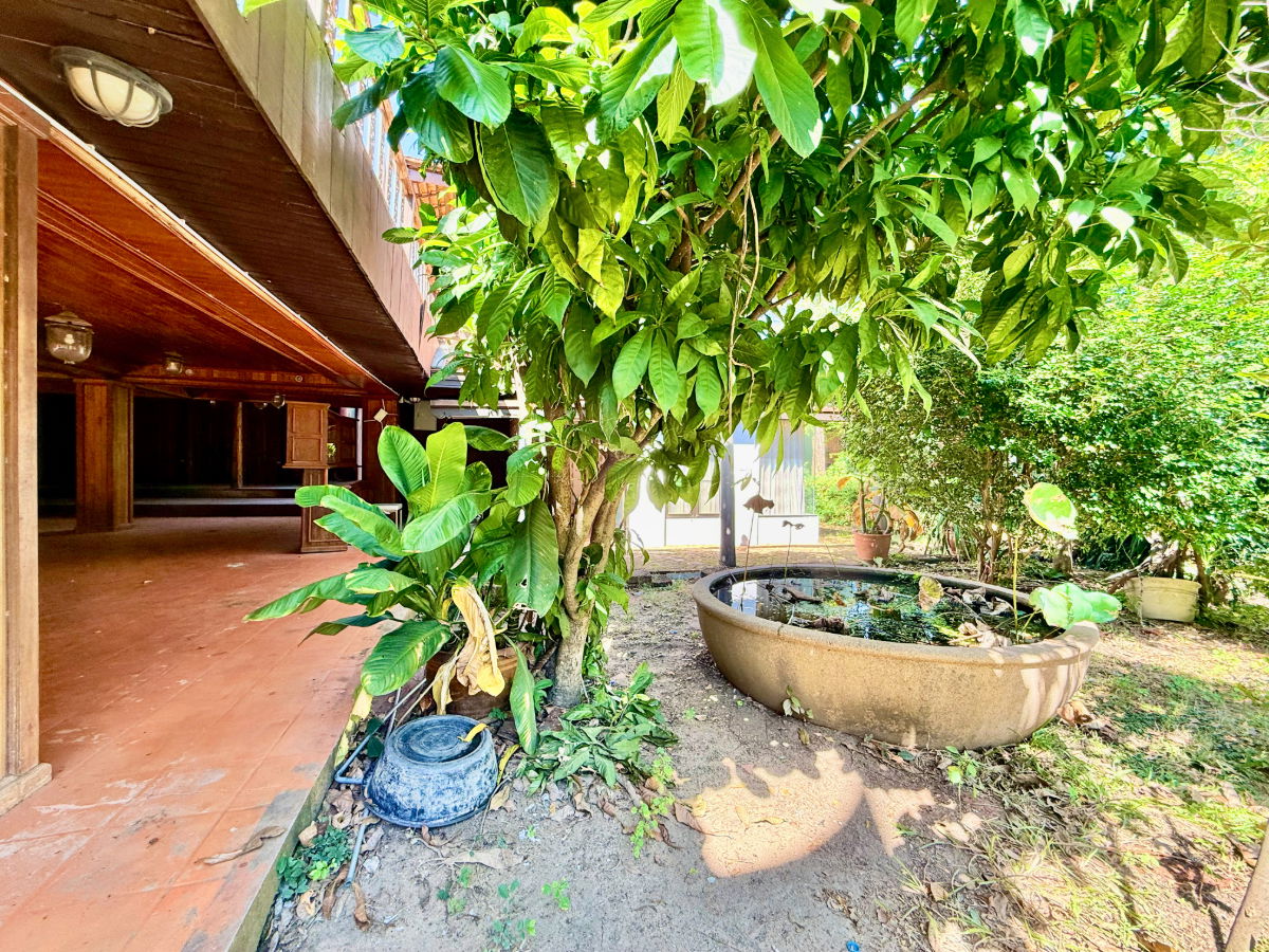 รูป ให้เช่า บ้านทรงไทยริมแม่น้ำเจ้าพระยา อ.เมือง อยุธยา - รูปที่ 41/76