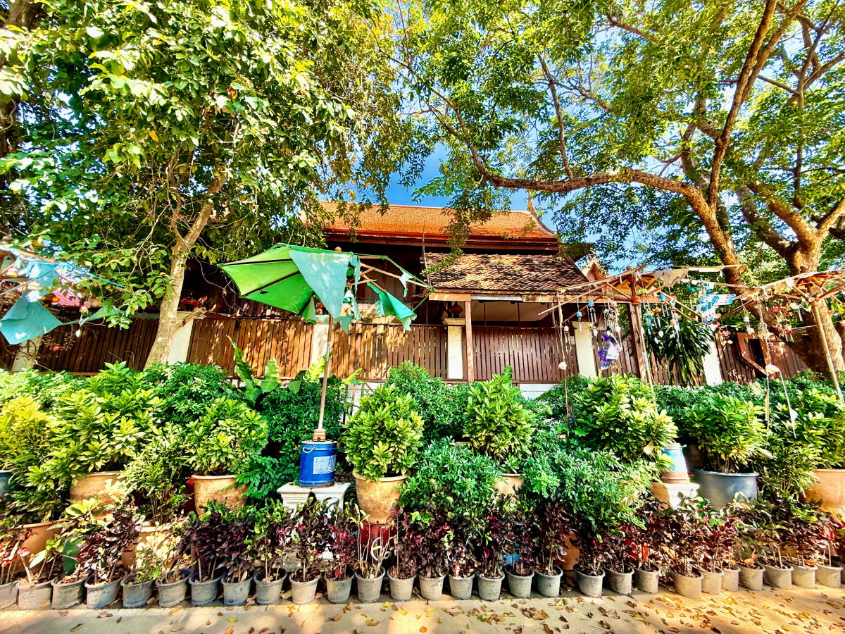 รูป ให้เช่า บ้านทรงไทยริมแม่น้ำเจ้าพระยา อ.เมือง อยุธยา - รูปที่ 4/76