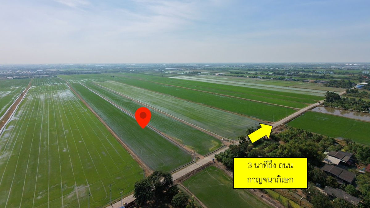 รูป ขายที่ดิน 34-0-45 ไร่ รูปแปลงสี่เหลี่ยมสวย เข้าออกได้หลายทาง ทั้ง กาญจนาภิเษก ราชพฤกษ์ เหมาะกับพัฒนาโครงการจัดสรร ใกล้ถนนปทุมธานี บางเลน 346 - รูปที่ 5/7