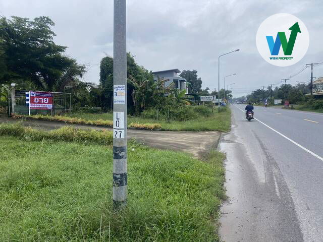 picture For Sale Warehouse and land Located on a main road in Khuan Khanun Phatthalung - 8/9