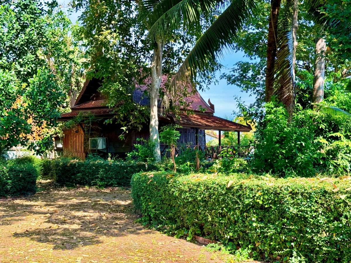 รูป ให้เช่า บ้านทรงไทยริมแม่น้ำเจ้าพระยา อ.เมือง อยุธยา - รูปที่ 68/76