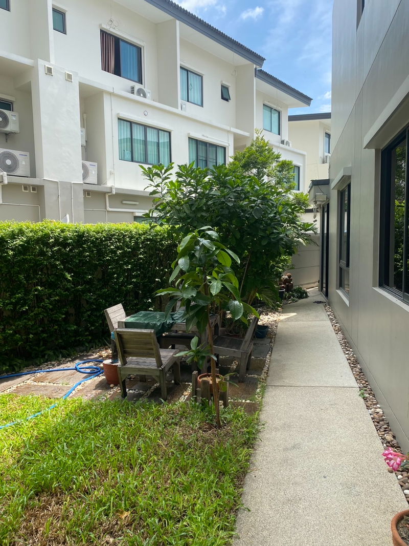 ขายทาวน์โฮม : ✨ ทาวน์โฮม 3 ชั้น ขนาดใหญ่ ใกล้รถไฟฟ้า MRT สายสีม่วง  📍 ตำบลเสาธงหิน อำเภอบางใหญ่ จังหวัดนนทบุรี Listing.5261