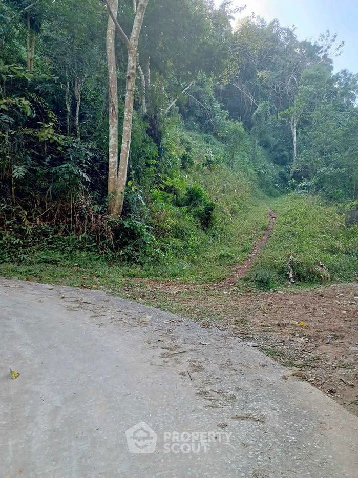 รูป ที่ดินสำหรับปล่อยขาย 24,000 ตารางเมตร แถว ใน เชียงดาว (ID 2494919) - รูปที่ 1/16