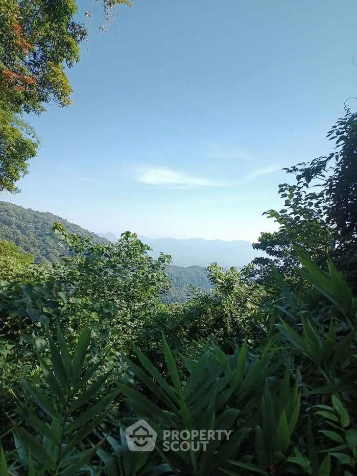 รูป ที่ดินสำหรับปล่อยขาย 24,000 ตารางเมตร แถว ใน เชียงดาว (ID 2494919) - รูปที่ 10/16