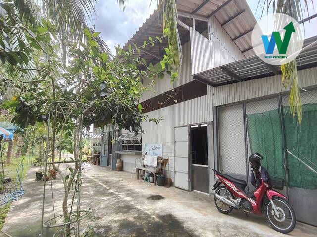 picture For Sale Warehouse and land Located on a main road in Khuan Khanun Phatthalung - 6/9