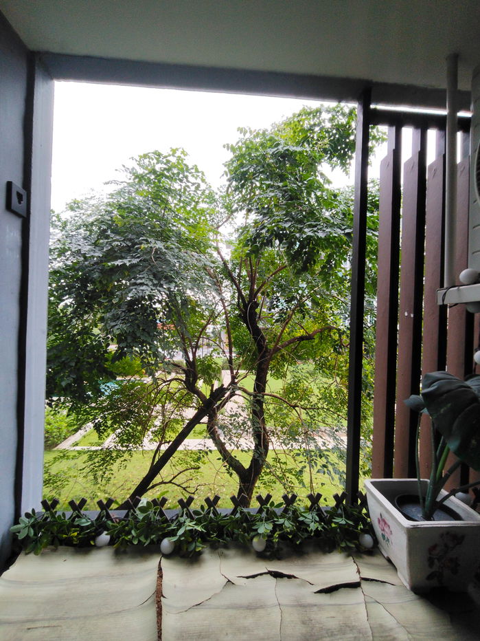 รูป K1687 ให้เช่า Serenity condo #เดินทางเข้ามหาลัยขอนแก่นเพียง5นาที 📍ขนาด 32 ตรม. ตึกC ชั้น 2  - รูปที่ 11/32