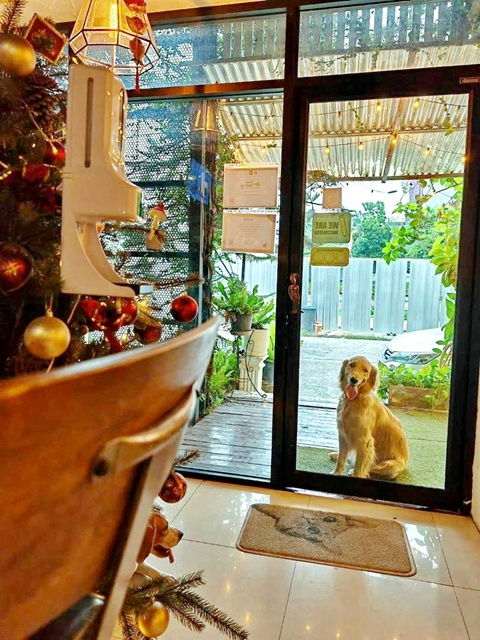 รูป กรึ่มๆขึ้นรถไฟฟ้าอย่างปลอดภัย MRTแจ้งวัฒนะ14 140ม. ให้เช่าอาคาร 3ชั้น 2คูหา 280 ตร.ม. ร้านคราฟเบียร์ ม.ธุรกิจบัณฑิตย์ 2.5 กม.ผู้คนหนาแน่น - รูปที่ 8/8