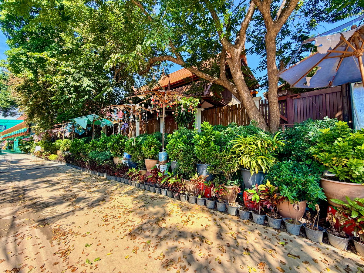 รูป ให้เช่า บ้านทรงไทยริมแม่น้ำเจ้าพระยา อ.เมือง อยุธยา - รูปที่ 62/76