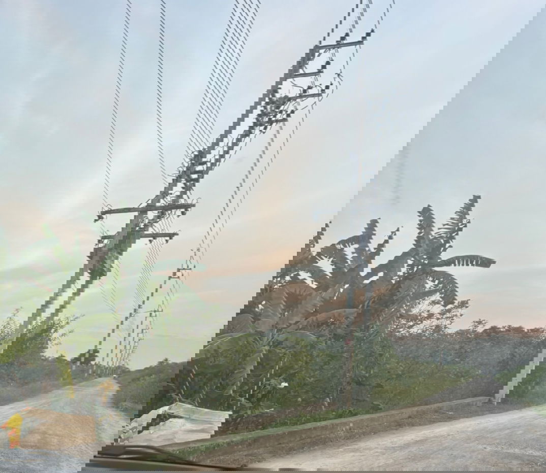 รูป ขายที่ดินเปล่า 10 ไร่ 9 ตารางวา ต.ศาลายา อ.พุทธมณฑล จ.นครปฐม ถนนเชื่อมไปคลองโยง เลียบคลองตาหลี คลองมหาสวัสดิ์ - รูปที่ 5/5