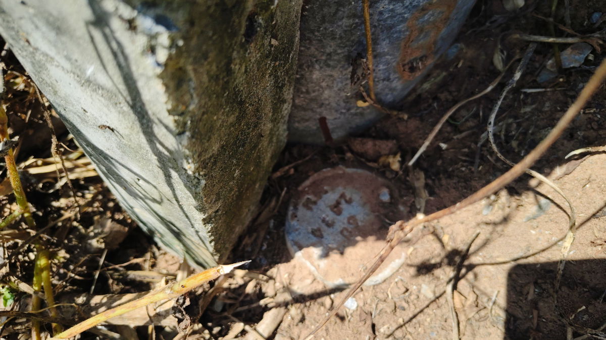 รูป ขายที่ดินติดถนนมอเตอร์เวย์ นครราชสีมา-ขอนแก่น เนื้อที่ 6 ไร่  วิวธรรมชาติ เหมาะสร้างบ้านสวนเกษตร ปลูกพืชผัดผลไม้ ต.กำปัง อ.โนนไทย จ.นครราชสีมา  - รูปที่ 23/27