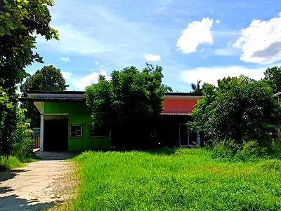 Houses for sale Khon Kaen : FOR SALE  HOUSE PROPERTY  4535000 BAHT.