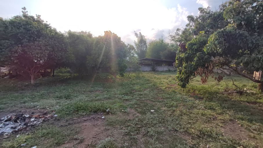 รูป ขายที่ดินหมู่บ้านจอเจริญ หมู่ 4 ต.ดอนศิลา อ.เวียงชัย จ.เชียงราย - รูปที่ 8/11