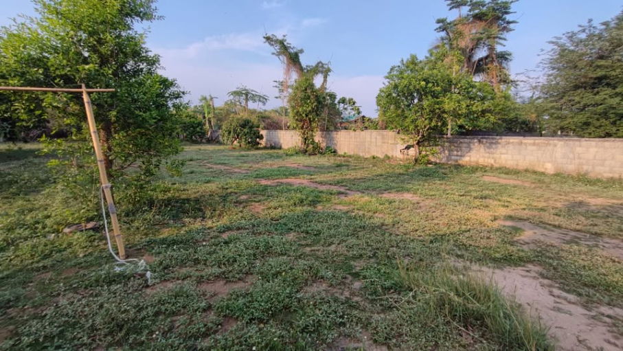 รูป ขายที่ดินหมู่บ้านจอเจริญ หมู่ 4 ต.ดอนศิลา อ.เวียงชัย จ.เชียงราย - รูปที่ 3/11