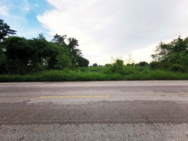 รูป BP00182 ขายที่ดินว่างเปล่า ตำบลบ้านกอก อำเภอจัตุรัส ชัยภูมิ - รูปที่ 7/8