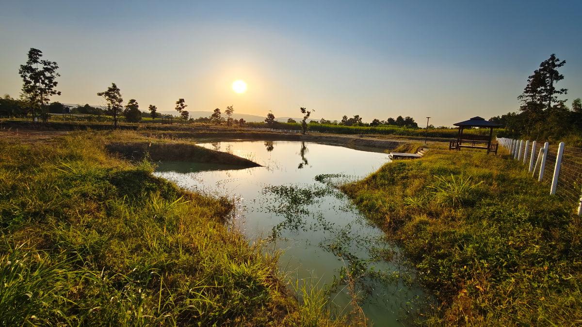รูป ขายที่ดิน " วิวภูเขา " อากาศดี ใกล้ทางหลวง 304 ใกล้วังน้ำเขียว ภูเขาล้อมรอบ มีให้จองเป้นเจ้าของอีก 5 แปลงเท่านั้น ภูหลวง ปักธงชัย นครราชสีามา - รูปที่ 15/15