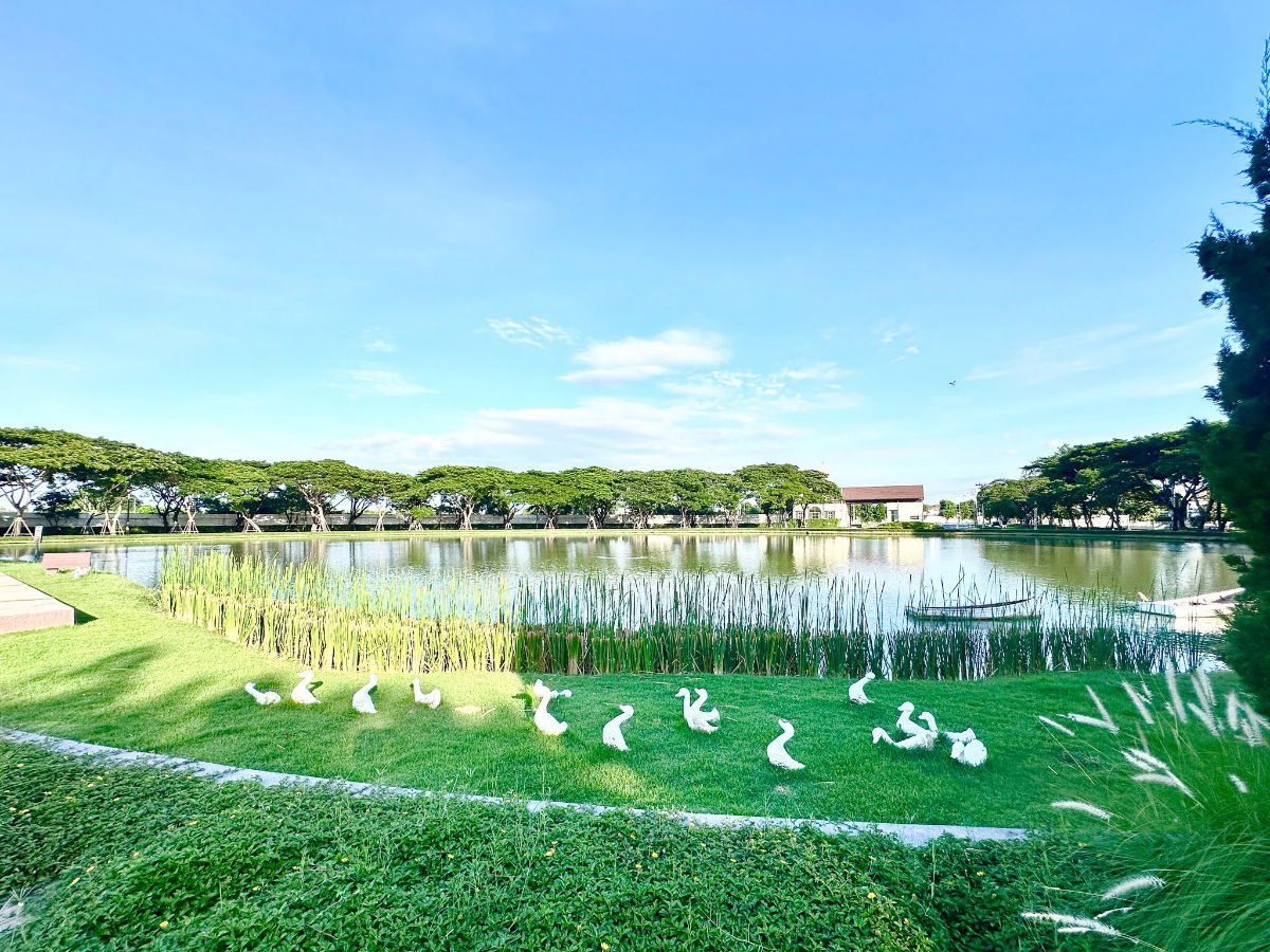 รูป ขายถูก! วิลลาจจิโอ บางนา (ABAC) | 2 นอน 3 น้ำ รีโนเวทใหม่ | 1.69 ล้าน!! - รูปที่ 29/29