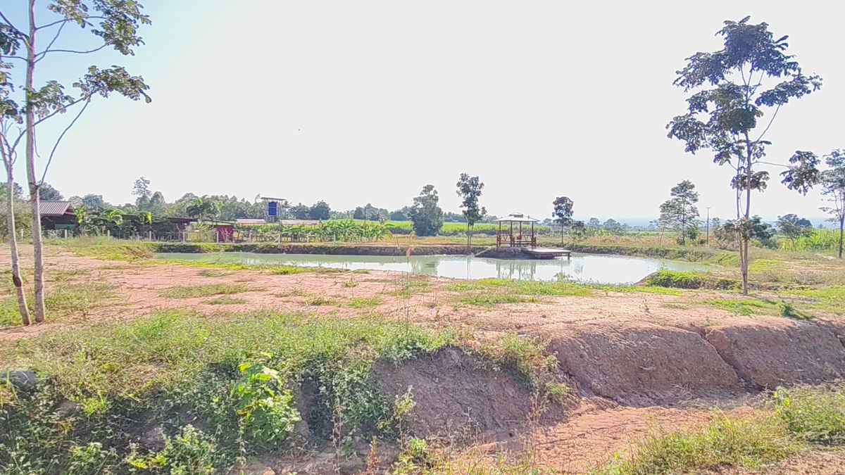 รูป ขายที่ดิน " วิวภูเขา " อากาศดี ใกล้ทางหลวง 304 ใกล้วังน้ำเขียว ภูเขาล้อมรอบ มีให้จองเป้นเจ้าของอีก 5 แปลงเท่านั้น ภูหลวง ปักธงชัย นครราชสีามา - รูปที่ 8/15