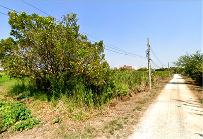 Land for sale Nonthaburi : 🌿 Land for Sale – Subdivided Plot, Bang Bua Thong, Nonthaburi  Listing No. 88951