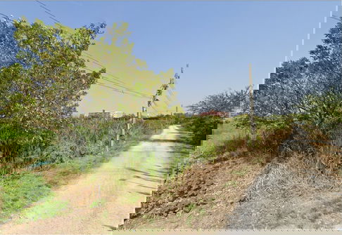 🌿 Land for Sale – Subdivided Plot, Bang Bua Thong, Nonthaburi  Listing No. 88951