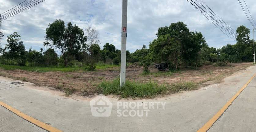 รูป ที่ดินสำหรับปล่อยขาย 1,964 ตารางเมตร แถว ใน บางละมุง (ID 2475642) - รูปที่ 3/3