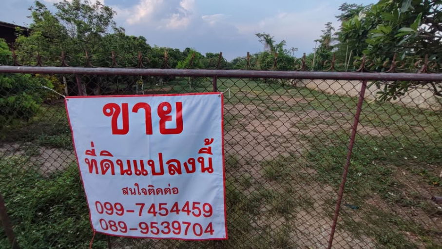 รูป ขายที่ดินหมู่บ้านจอเจริญ หมู่ 4 ต.ดอนศิลา อ.เวียงชัย จ.เชียงราย - รูปที่ 11/11