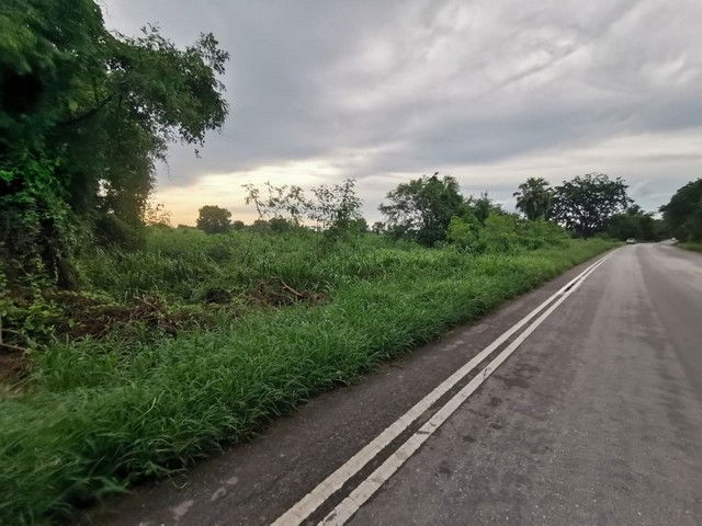 รูป BP00182 ขายที่ดินว่างเปล่า ตำบลบ้านกอก อำเภอจัตุรัส ชัยภูมิ - รูปที่ 8/8