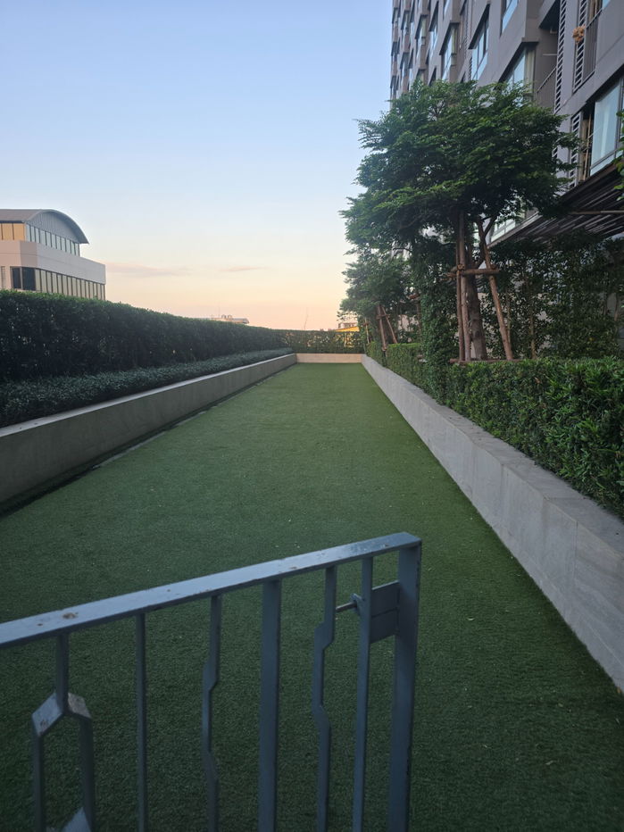 picture Ideo sukhumvit 93 1bedroom BTS Bangchak 200m - 32/38