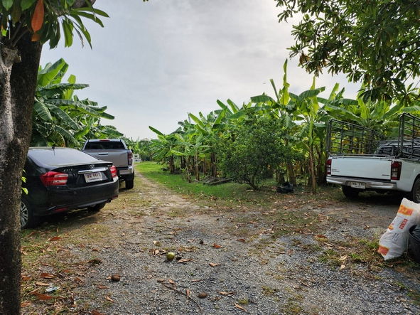 picture FOR RENT  LAND PROPERTY  100000 BAHT per MONTH - 6/8