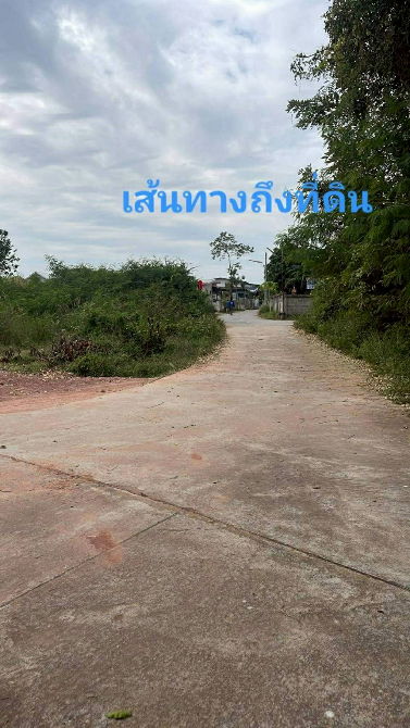 รูป ขายที่ดิน 3 ไร่ ต.กุดตุ้ม อ.เมืองชัยภูมิ ขายต่ำกว่าประเมิน ขาย1ล้านบาท - รูปที่ 7/9