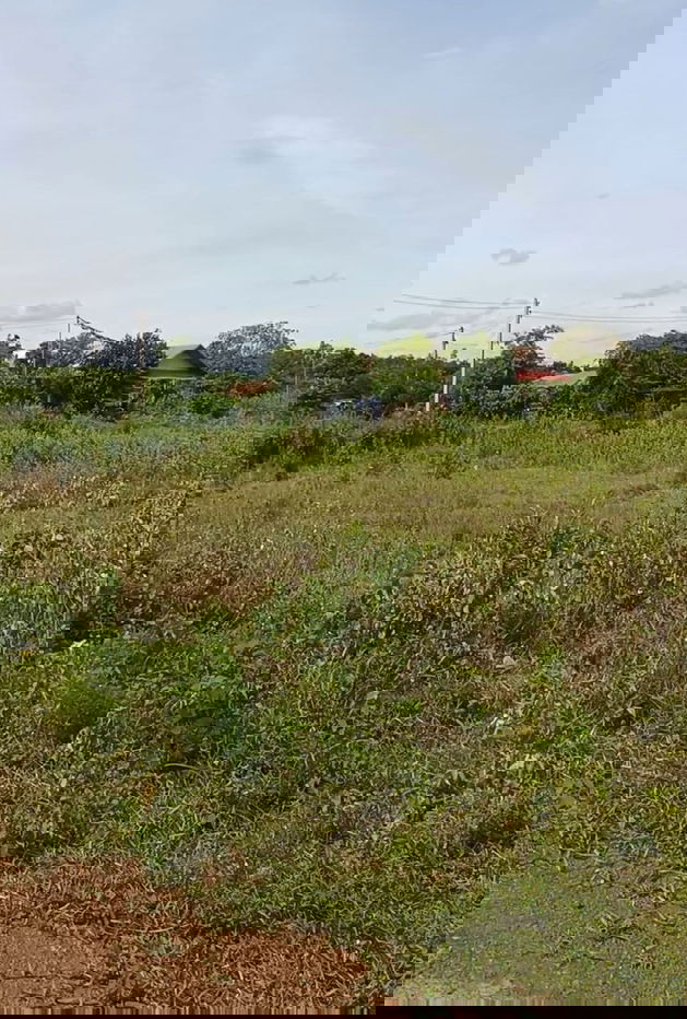 รูป ขายที่ดินสวย ทำเลดี ใกล้โรงน้ำแข็งกิมชุน หนองคาย 10 ไร่, 2 งาน, 54 ตร.ว. - รูปที่ 2/5