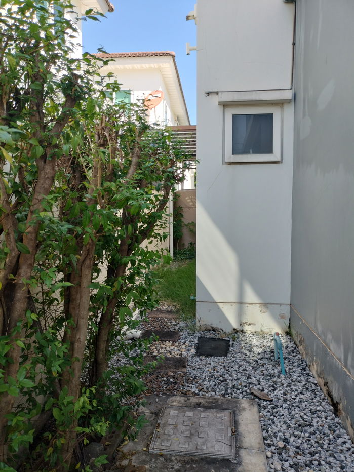 รูป บ้านเดี่ยวเช่าในโครงการ ศุภาลัยเบลล่า บ้านเลขที่สวย - รูปที่ 18/19