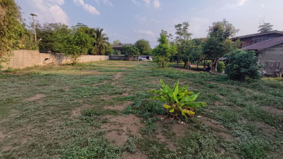 รูป ขายที่ดินหมู่บ้านจอเจริญ หมู่ 4 ต.ดอนศิลา อ.เวียงชัย จ.เชียงราย - รูปที่ 10/11