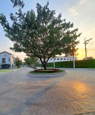 รูป บ้าน หมู่บ้านอณาสิริ รามคำแหง พร้อมอยู่ ทาวน์โฮม2ชั้น ใกล้สนามบินสุวรรณภูมิ - รูปที่ 3/8