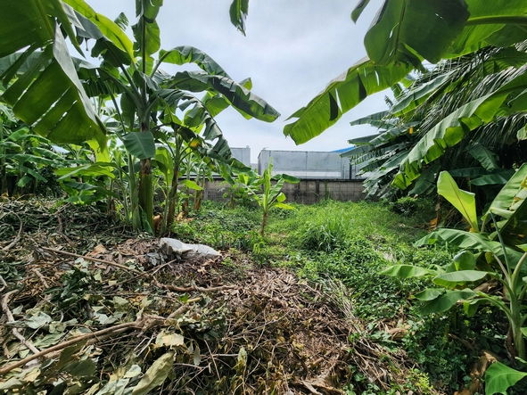 picture FOR RENT  LAND PROPERTY  100000 BAHT per MONTH - 5/8