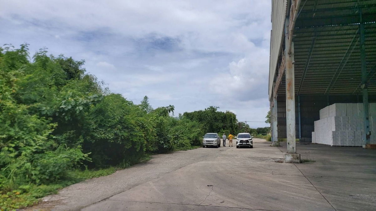รูป  ขายที่ดินพร้อมอาคารโครงเหล็ก ขนาด 14-2-40 ไร่ - รูปที่ 9/12