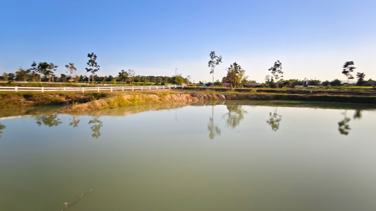 รูป ขายที่ดิน " วิวภูเขา " อากาศดี ใกล้ทางหลวง 304 ใกล้วังน้ำเขียว ภูเขาล้อมรอบ มีให้จองเป้นเจ้าของอีก 5 แปลงเท่านั้น ภูหลวง ปักธงชัย นครราชสีามา - รูปที่ 11/15